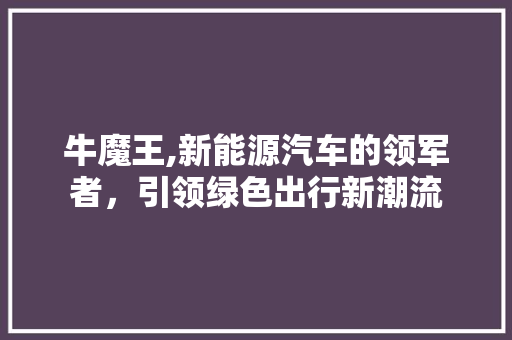 牛魔王,新能源汽车的领军者，引领绿色出行新潮流 汽车配件