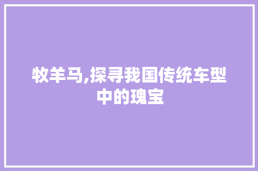 牧羊马,探寻我国传统车型中的瑰宝