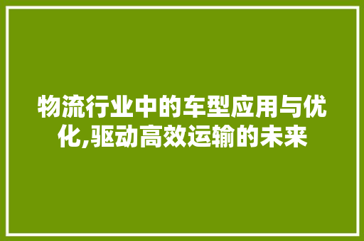 物流行业中的车型应用与优化,驱动高效运输的未来