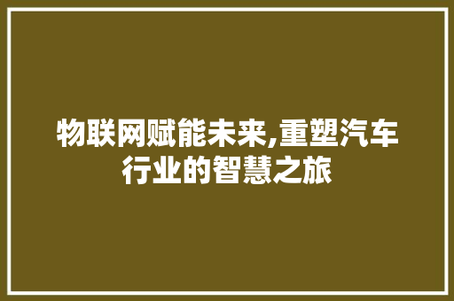 物联网赋能未来,重塑汽车行业的智慧之旅