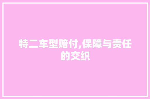 特二车型赔付,保障与责任的交织