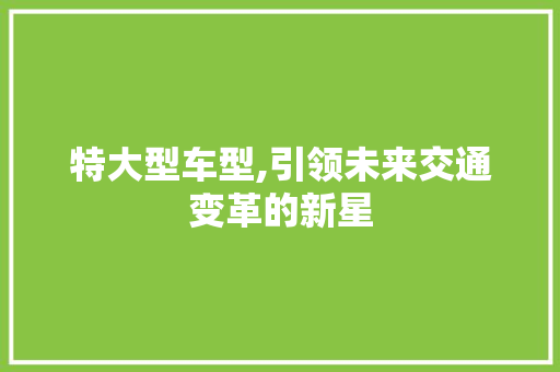 特大型车型,引领未来交通变革的新星