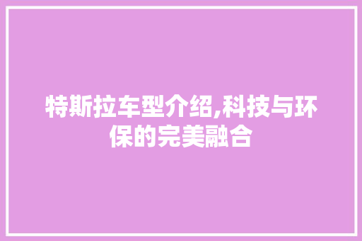 特斯拉车型介绍,科技与环保的完美融合