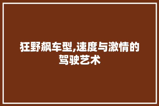 狂野飙车型,速度与激情的驾驶艺术