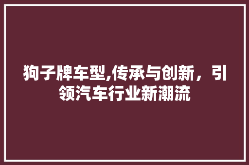 狗子牌车型,传承与创新，引领汽车行业新潮流