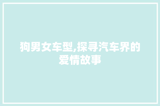 狗男女车型,探寻汽车界的爱情故事