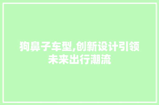 狗鼻子车型,创新设计引领未来出行潮流