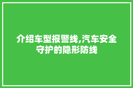 介绍车型报警线,汽车安全守护的隐形防线 变速箱配件