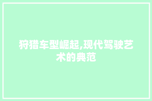 狩猎车型崛起,现代驾驶艺术的典范