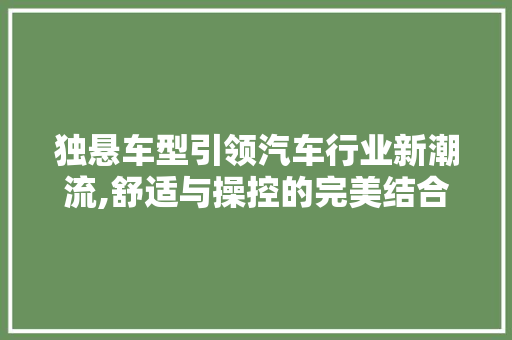 独悬车型引领汽车行业新潮流,舒适与操控的完美结合