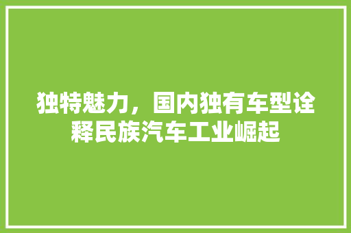 独特魅力，国内独有车型诠释民族汽车工业崛起