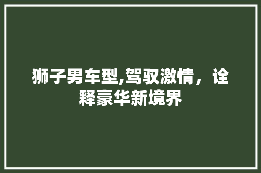 狮子男车型,驾驭激情，诠释豪华新境界
