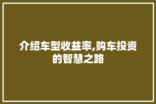 介绍车型收益率,购车投资的智慧之路