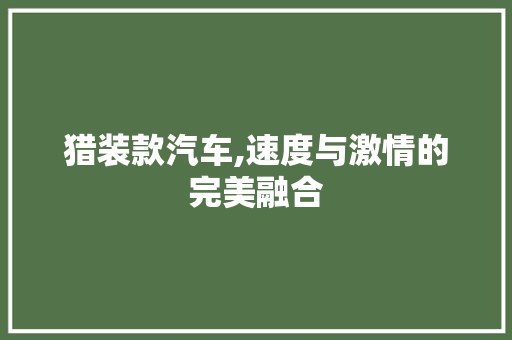猎装款汽车,速度与激情的完美融合