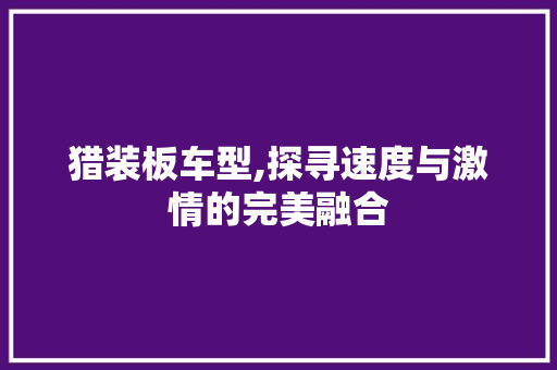 猎装板车型,探寻速度与激情的完美融合