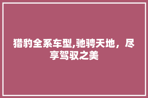 猎豹全系车型,驰骋天地，尽享驾驭之美
