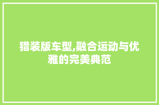 猎装版车型,融合运动与优雅的完美典范