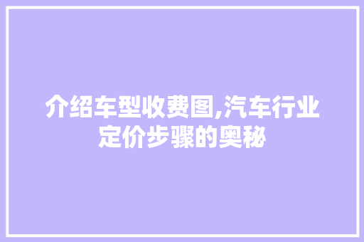 介绍车型收费图,汽车行业定价步骤的奥秘