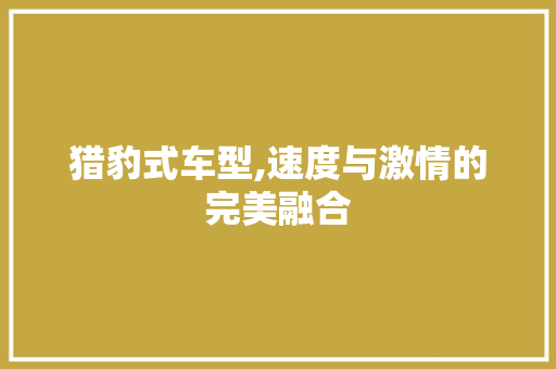猎豹式车型,速度与激情的完美融合