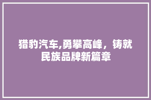 猎豹汽车,勇攀高峰，铸就民族品牌新篇章