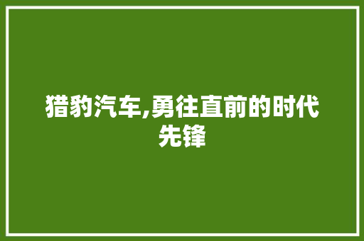 猎豹汽车,勇往直前的时代先锋