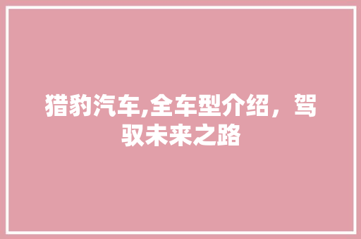猎豹汽车,全车型介绍，驾驭未来之路