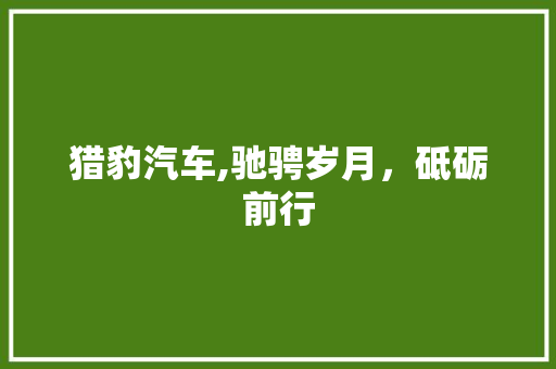 猎豹汽车,驰骋岁月，砥砺前行