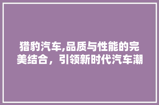 猎豹汽车,品质与性能的完美结合，引领新时代汽车潮流