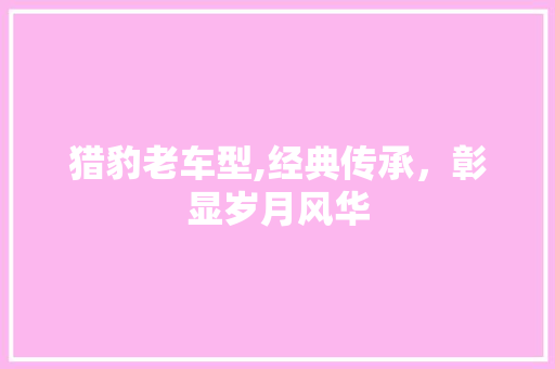 猎豹老车型,经典传承，彰显岁月风华