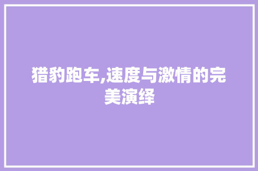 猎豹跑车,速度与激情的完美演绎