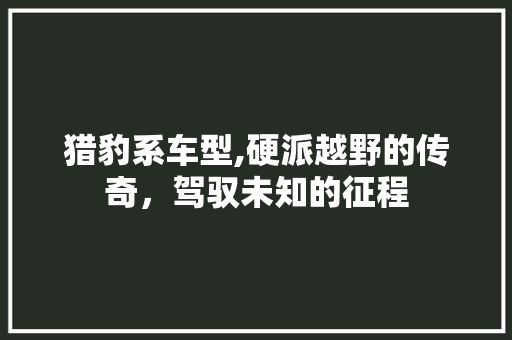 猎豹系车型,硬派越野的传奇，驾驭未知的征程