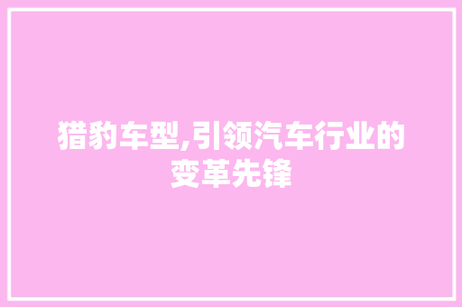 猎豹车型,引领汽车行业的变革先锋