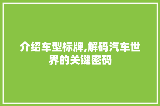 介绍车型标牌,解码汽车世界的关键密码 新款车型