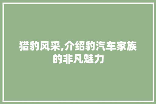 猎豹风采,介绍豹汽车家族的非凡魅力
