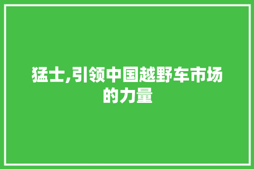 猛士,引领中国越野车市场的力量