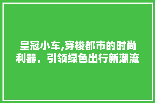 皇冠小车,穿梭都市的时尚利器，引领绿色出行新潮流