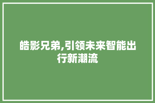 皓影兄弟,引领未来智能出行新潮流