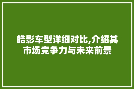 皓影车型详细对比,介绍其市场竞争力与未来前景