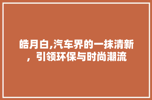 皓月白,汽车界的一抹清新，引领环保与时尚潮流