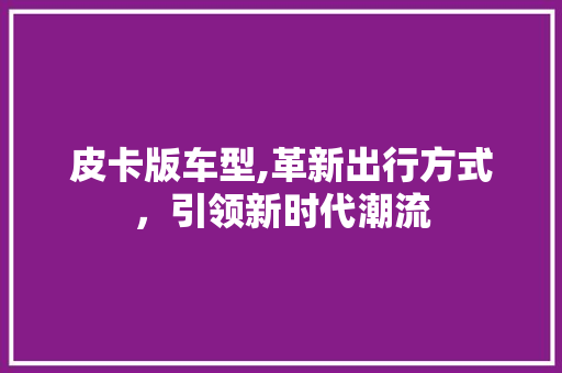 皮卡版车型,革新出行方式，引领新时代潮流