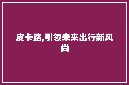皮卡路,引领未来出行新风尚
