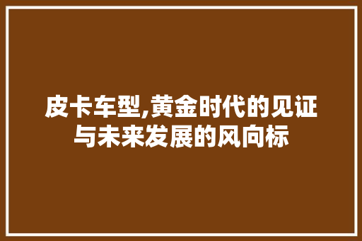 皮卡车型,黄金时代的见证与未来发展的风向标