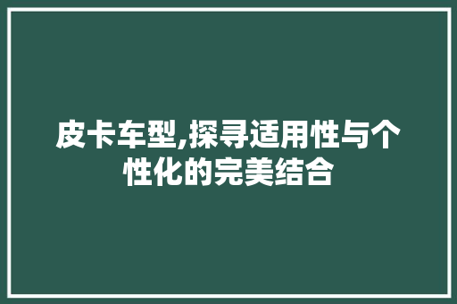 皮卡车型,探寻适用性与个性化的完美结合