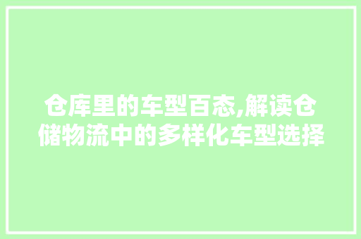 仓库里的车型百态,解读仓储物流中的多样化车型选择 变速箱配件
