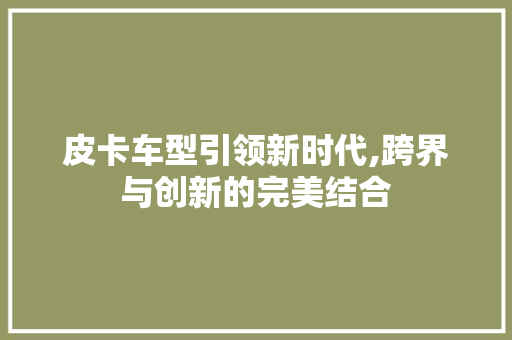 皮卡车型引领新时代,跨界与创新的完美结合