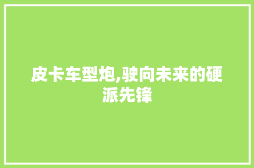 皮卡车型炮,驶向未来的硬派先锋