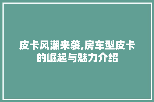 皮卡风潮来袭,房车型皮卡的崛起与魅力介绍