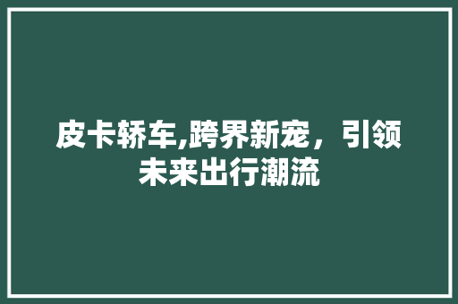 皮卡轿车,跨界新宠，引领未来出行潮流