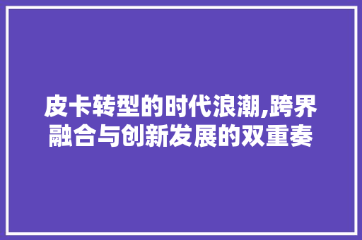 皮卡转型的时代浪潮,跨界融合与创新发展的双重奏