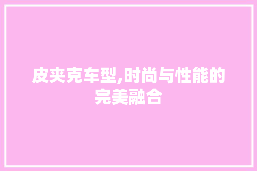 皮夹克车型,时尚与性能的完美融合